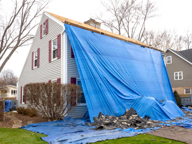 Best Insulated Siding Installation  in Bladensburg, MD